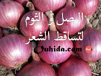 فوائد و خصائص الثوم و البصل لتساقط الشعر